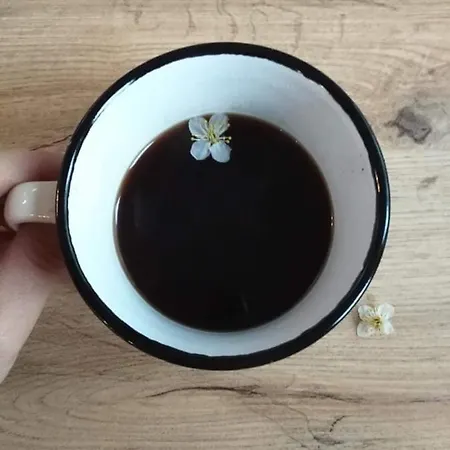 Siyana Varna-free Parking וארנה