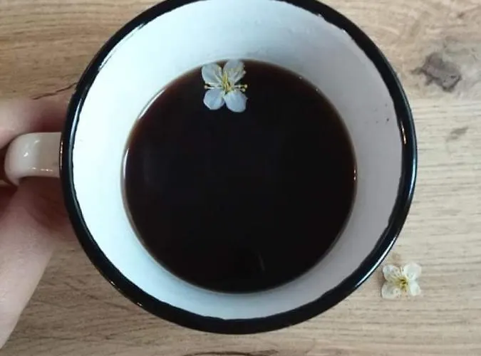 Siyana Varna-free Parking Варна